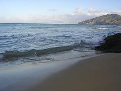 ORAN 2005 PARADIS PLAGE APRES MIDI D HIVER  (1)